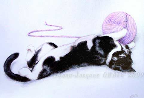 Portrait de Minie, chat europen dessin au crayon de couleur
